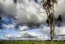 加拿大国脚意外受伤，球队战力受损