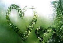 美洲篮球先生评选大赛即将揭晓