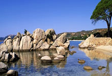 《生死交锋：泰达决不放弃》